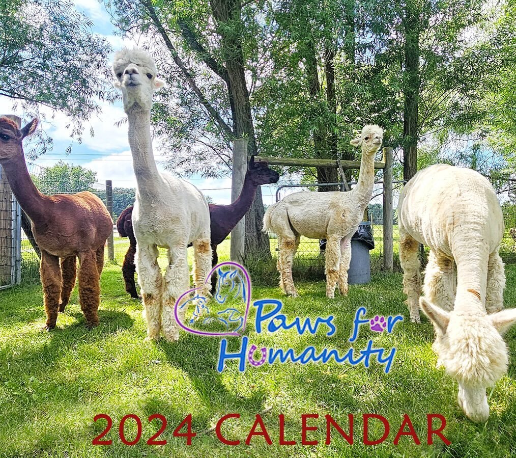 BIG NEWS!!! Our NEW WEBSITE is LIVE!!! We&rsquo;re still polishing some areas, but couldn&rsquo;t wait another minute to share!!! 🤩🤩 www.pawsforhumanity.org 🤩🤩 AND you can order our 2024 calendar on our new Shop page! (You can also dm if you are 