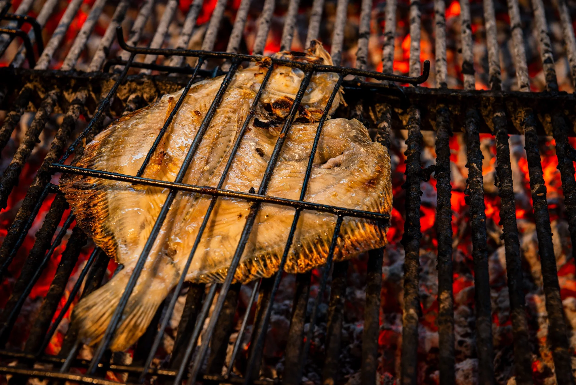 Pescado asado en una parrilla sobre brasas rojas.