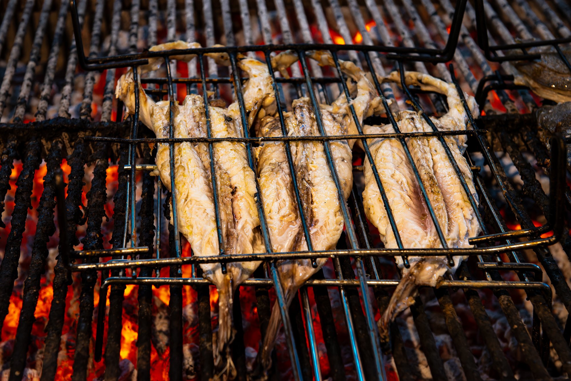 Pescado asándose sobre una parrilla al carbón.