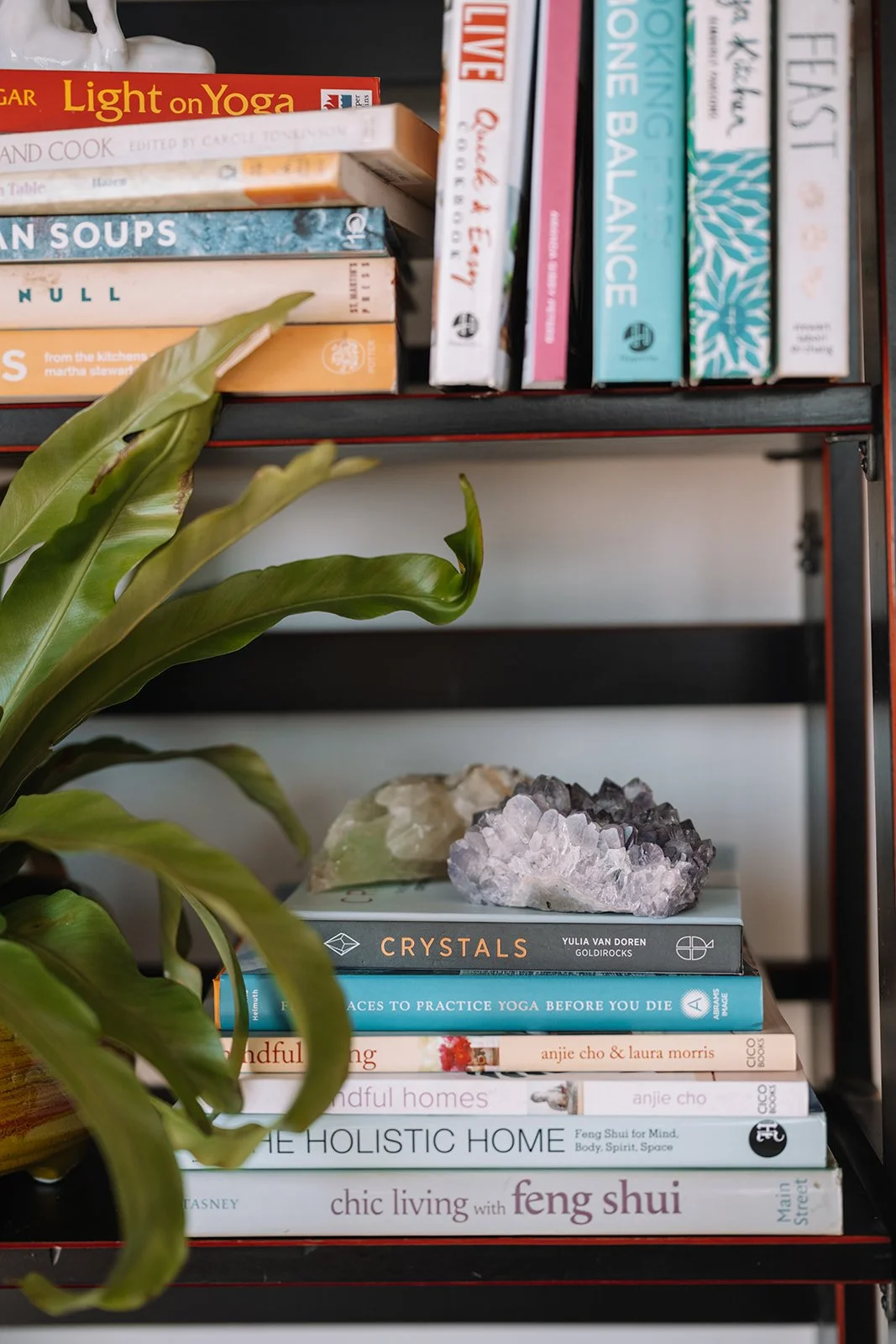 A bookshelf with colorful books on wellness, yoga, cookbooks, and home decor, with green plant leaves partially covering the shelf and two crystals placed on a book at the bottom.