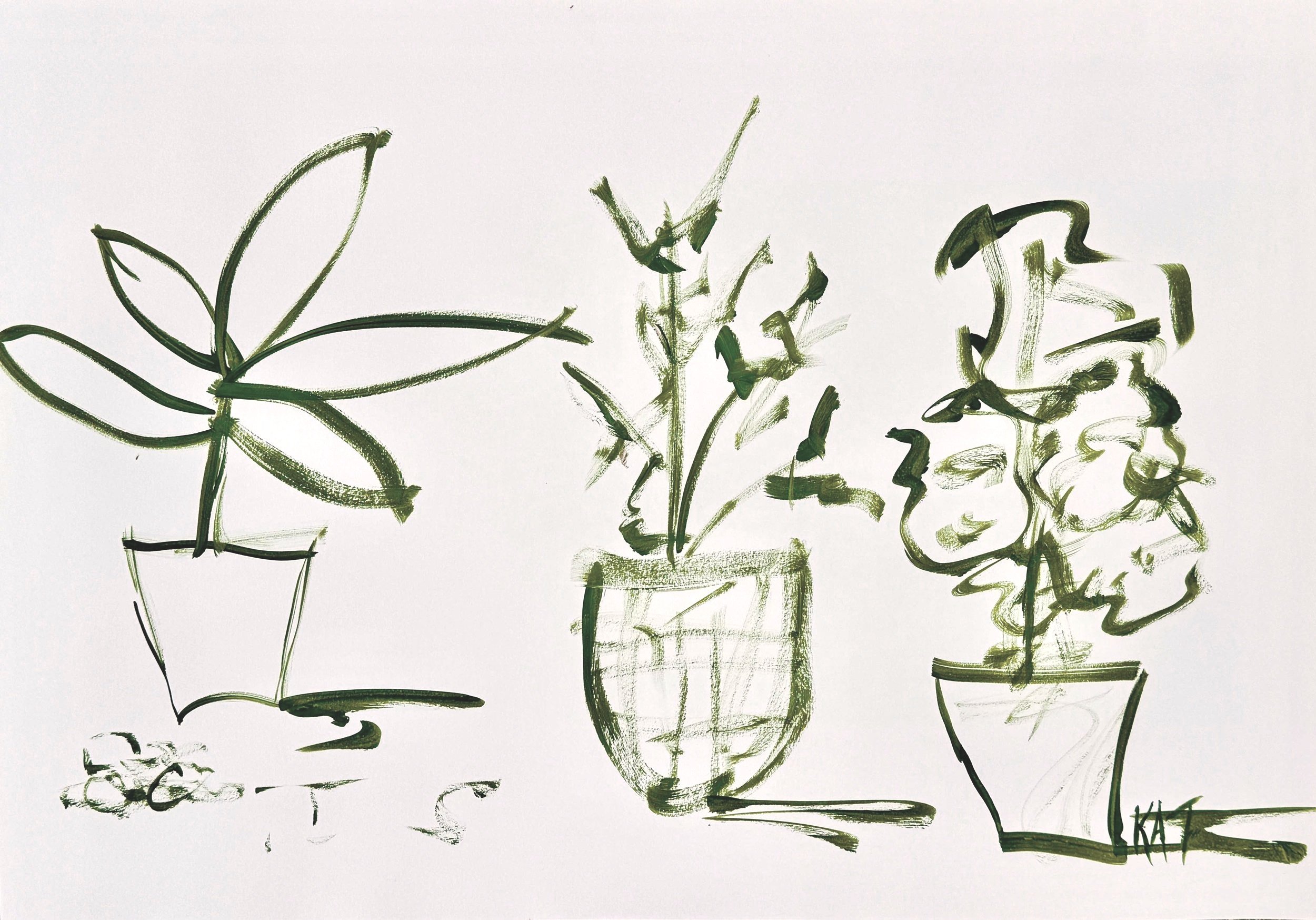 Orchids+in+Pots+%232.jpg