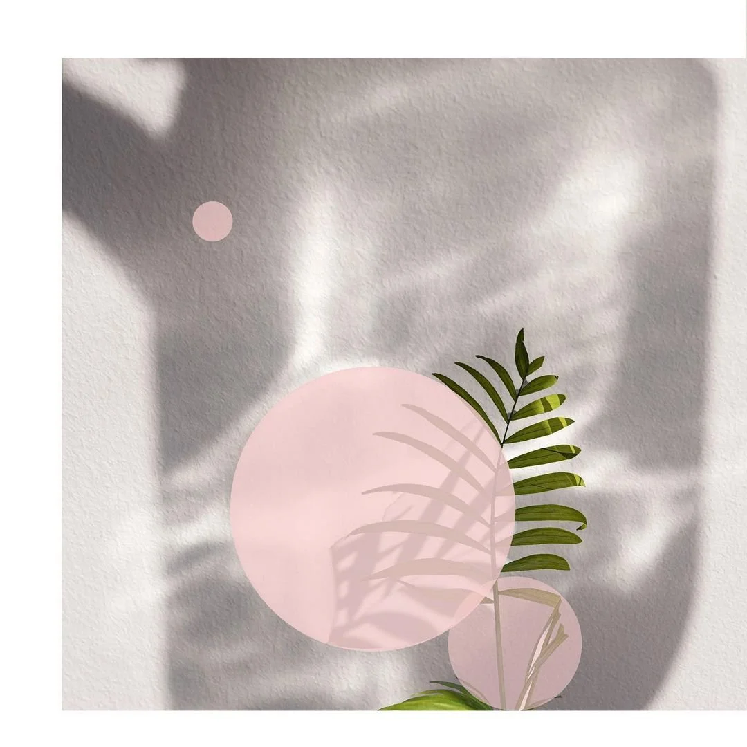 Digital abstract collage exploring the concept of ‘Growth.’ Image shows shadow photography with pink graphics and botanical elements.