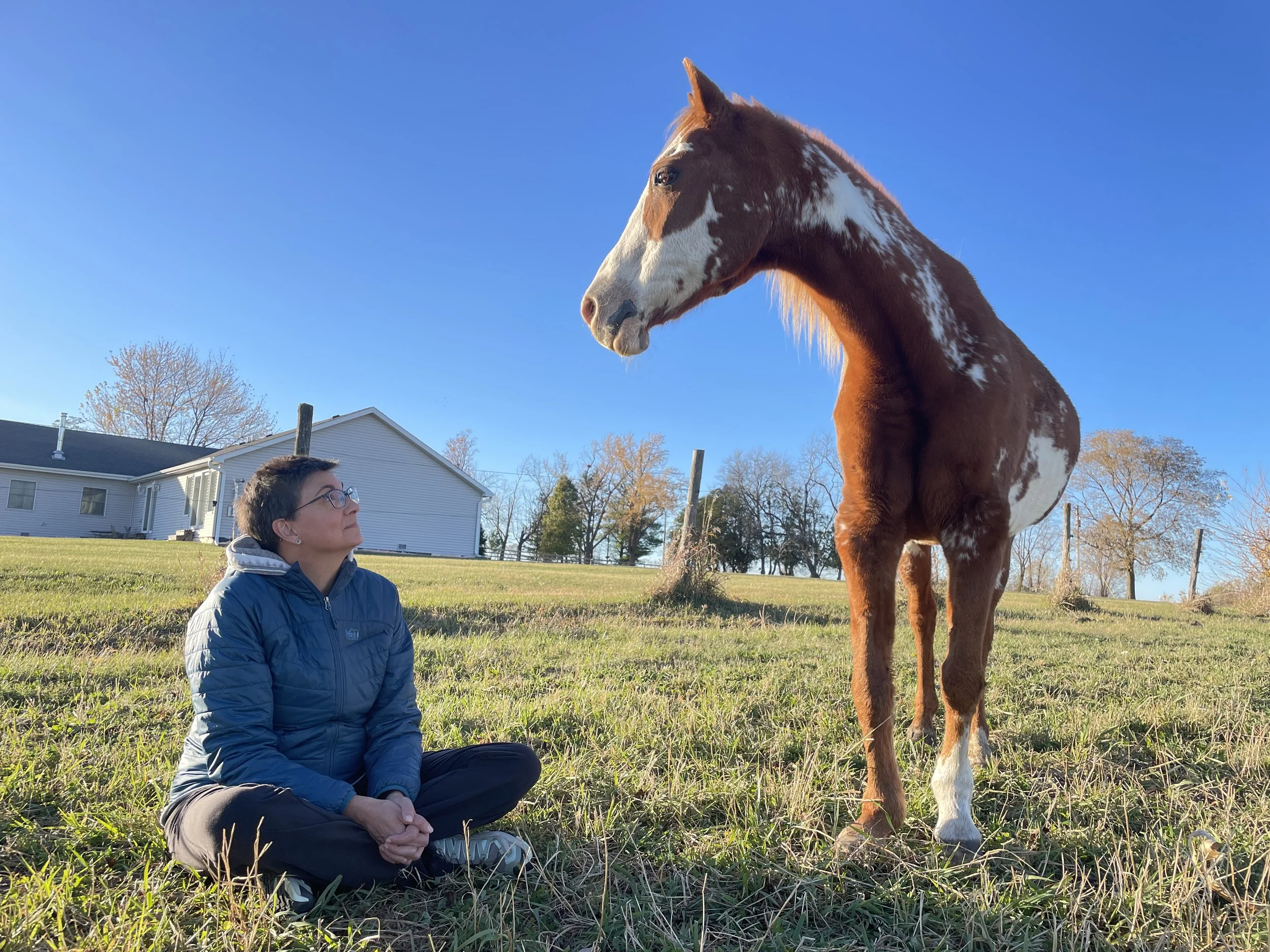Meet the Herd: A Live Virtual Experience