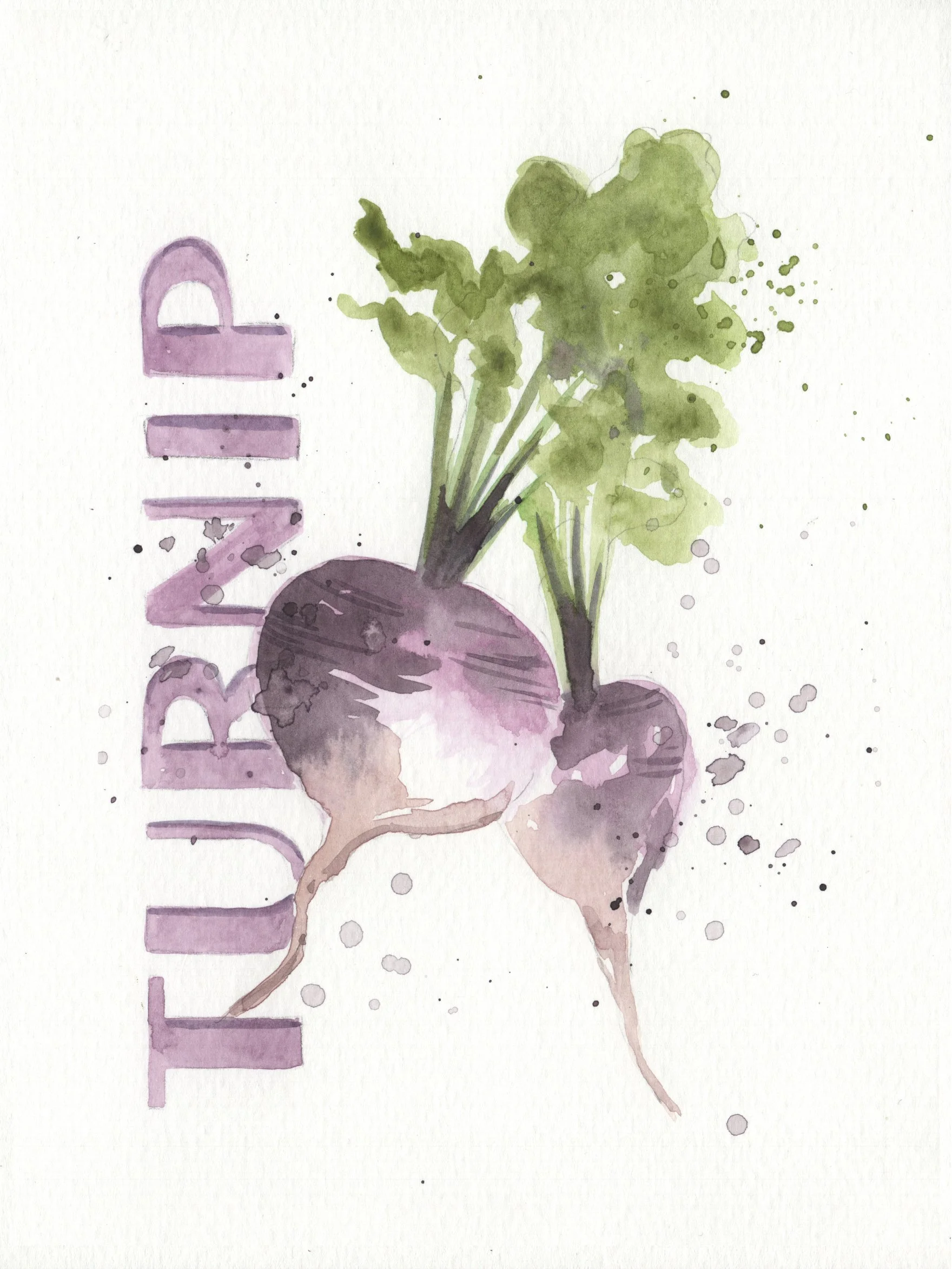 Turnip Watercolor Workshop Sample