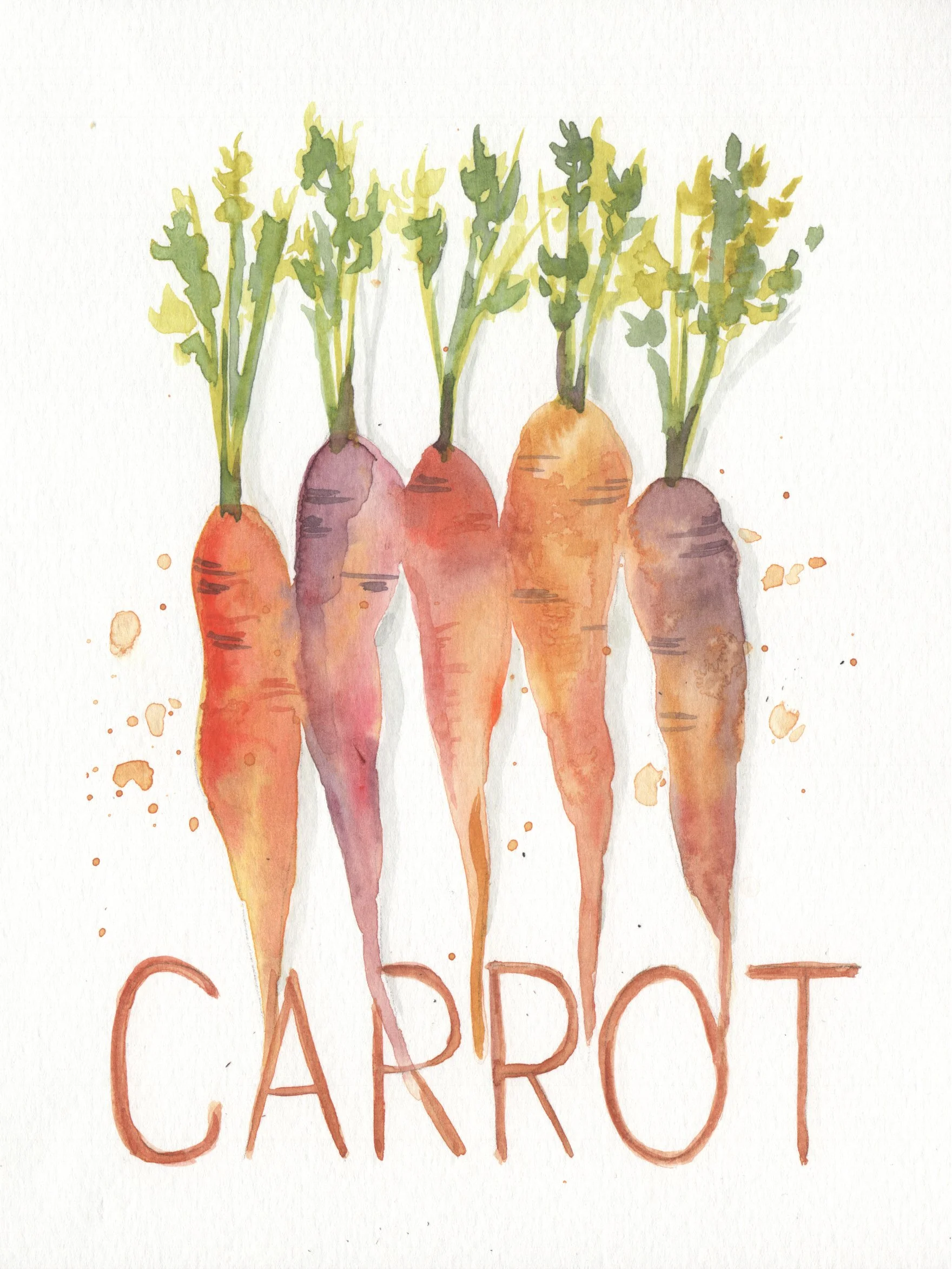 Carrot Watercolor Workshop Sample