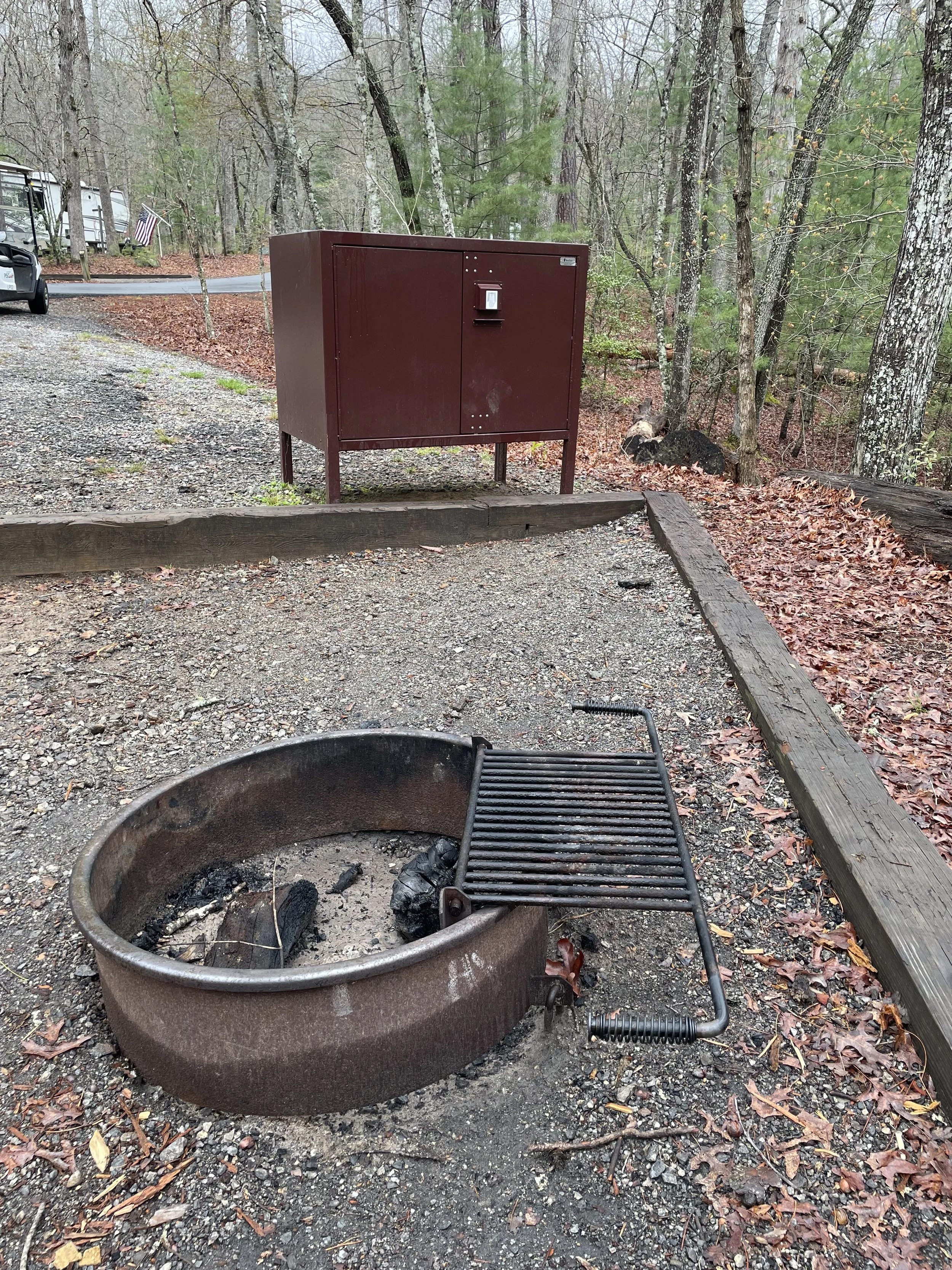 Enhanced Wildlife Safety Measures: Bear-Proof Boxes Coming to Pisgah Area Campgrounds & Recreation Areas