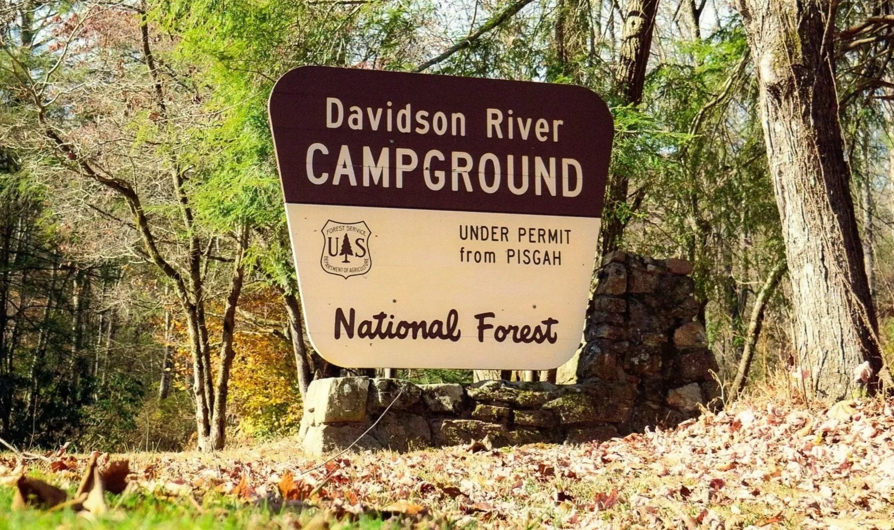 Davidson River Campground