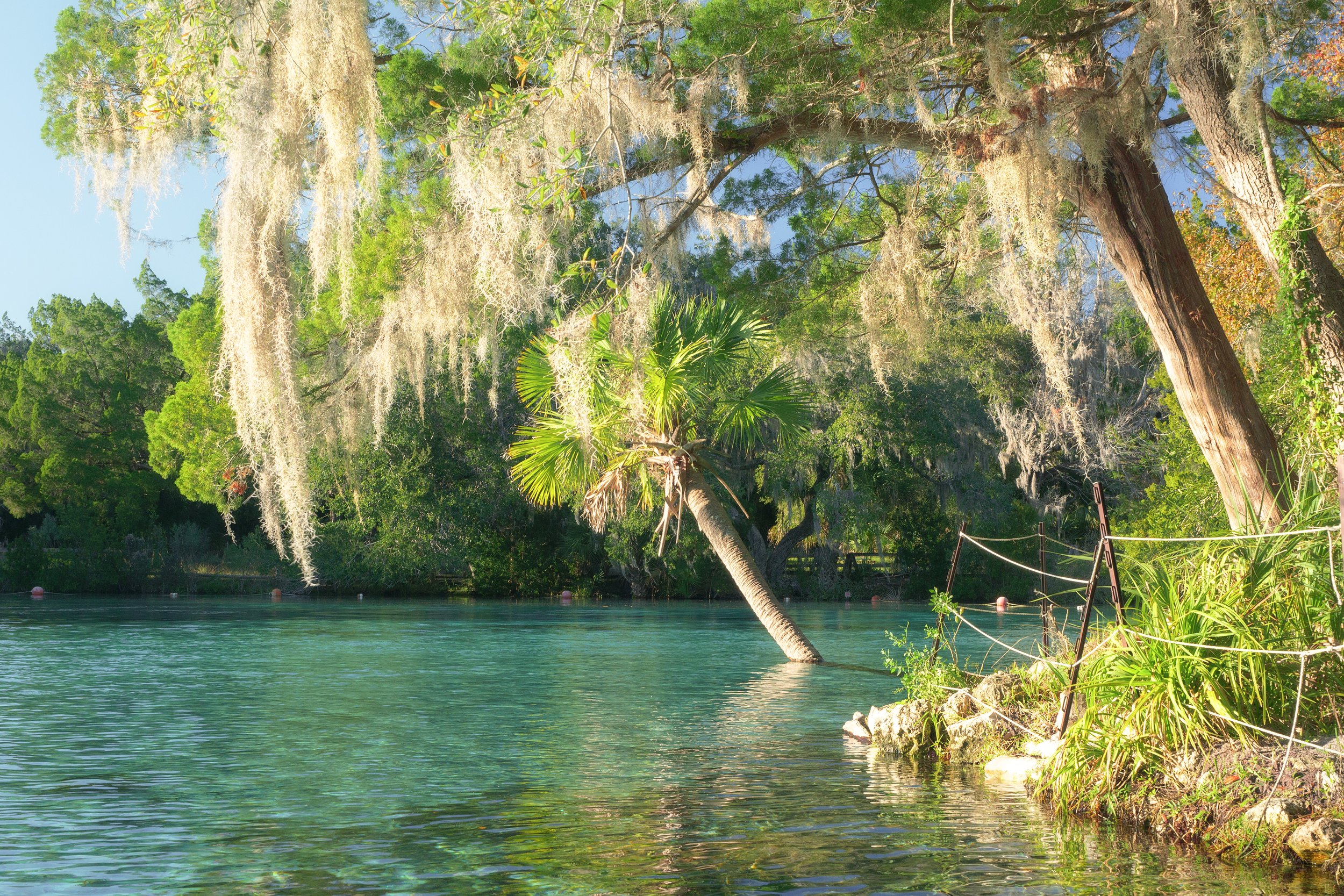 Silver Glen Springs State Park Silver Glen Springs | Ocala, Florida