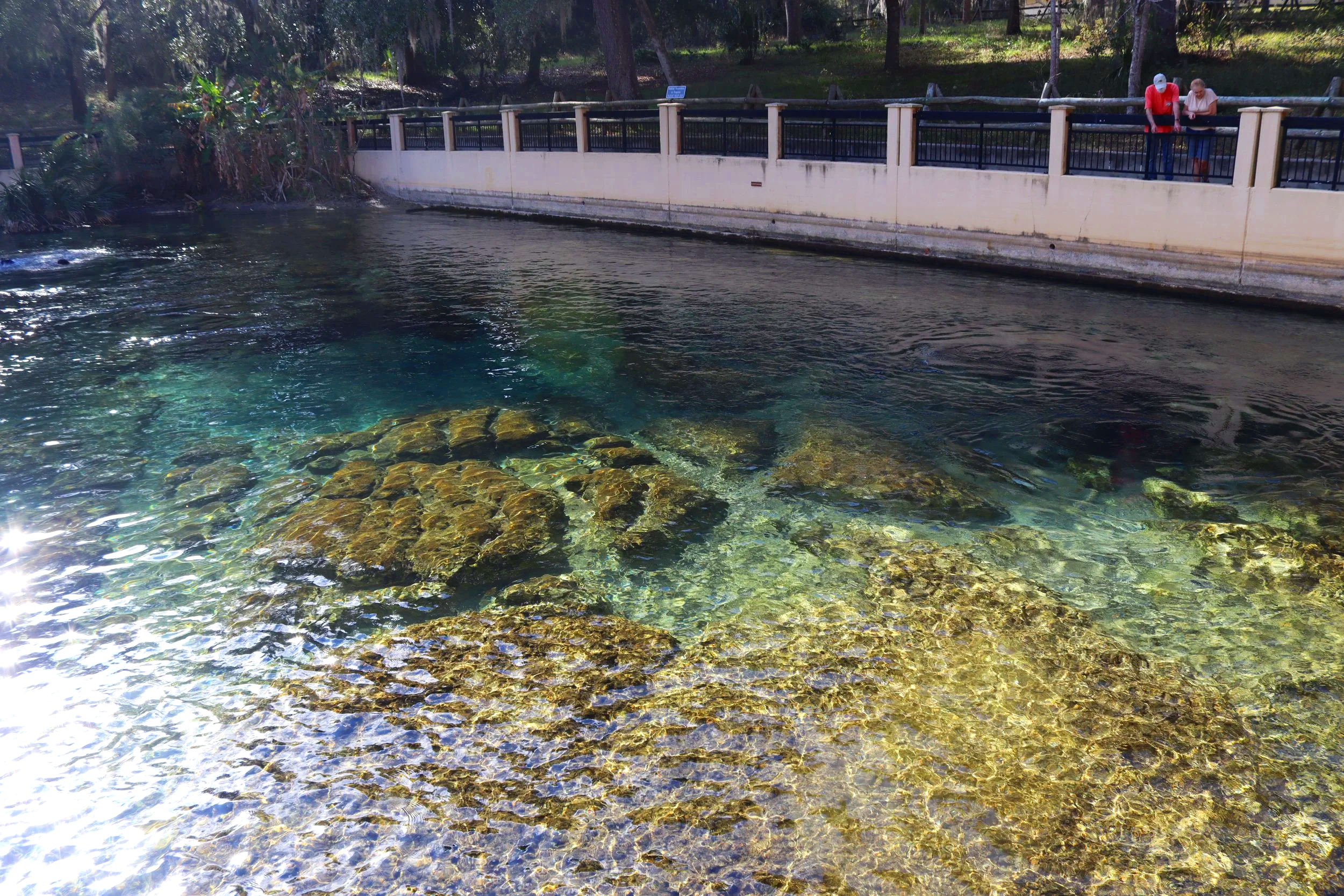 Salt Springs Campground & Recreation Area