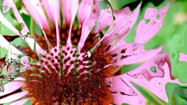 echinacea touch designer experiments ❀ ✿

soundtracked to ON4B ~ Somewhere, left behind [3XL]