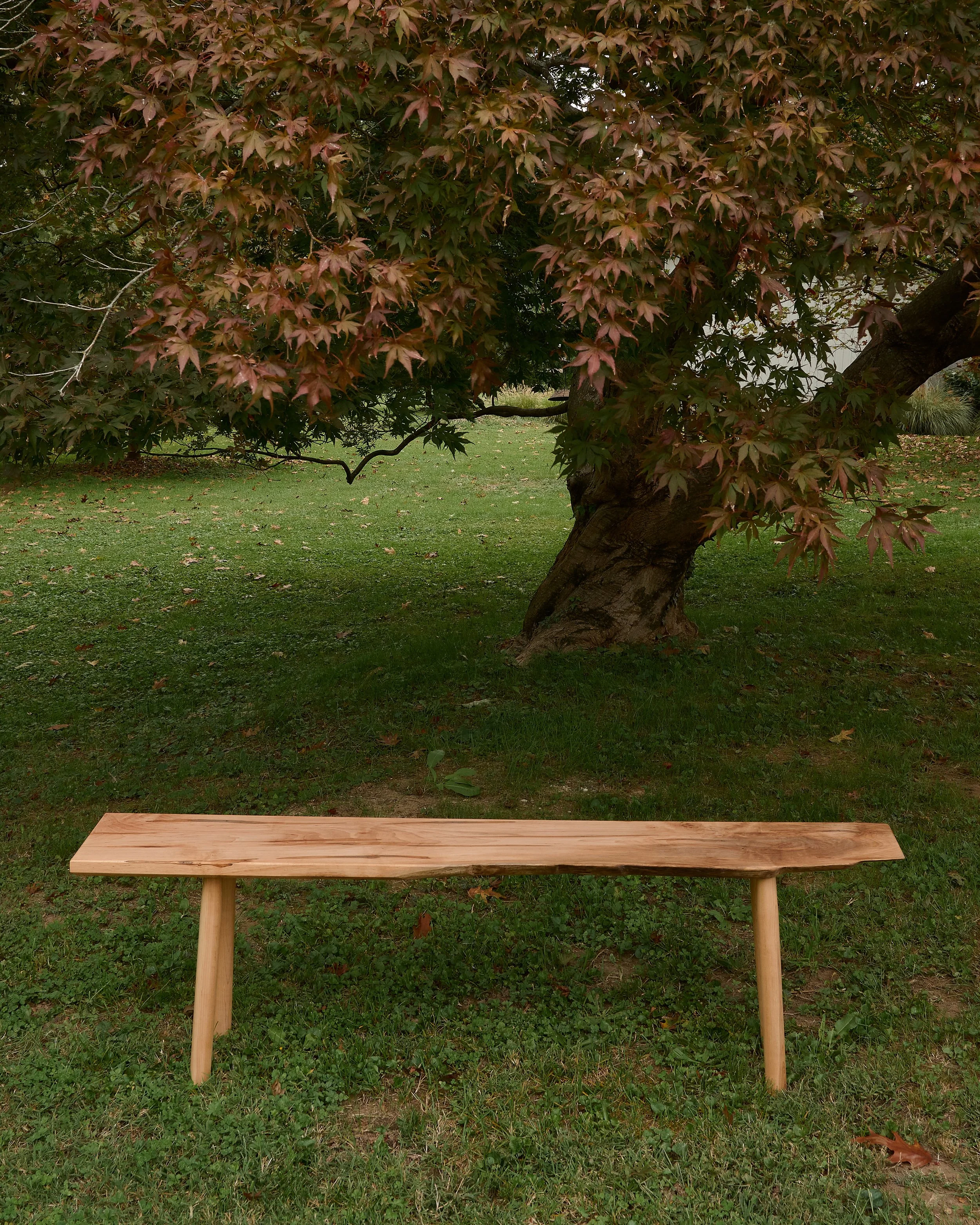 Maplebench.jpg