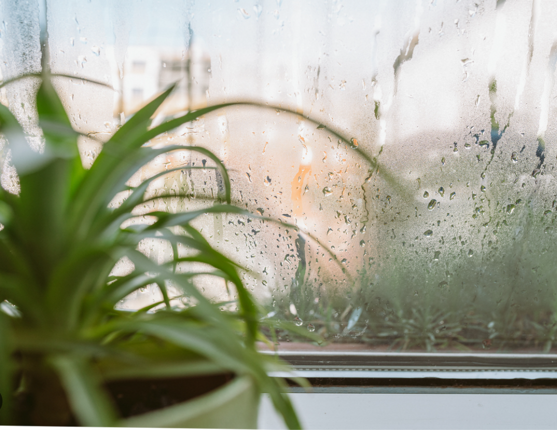 House Cleaning Lake Oswego | Seasonal Cleaning Guide for Dry &amp;amp; Humid Weather Conditions