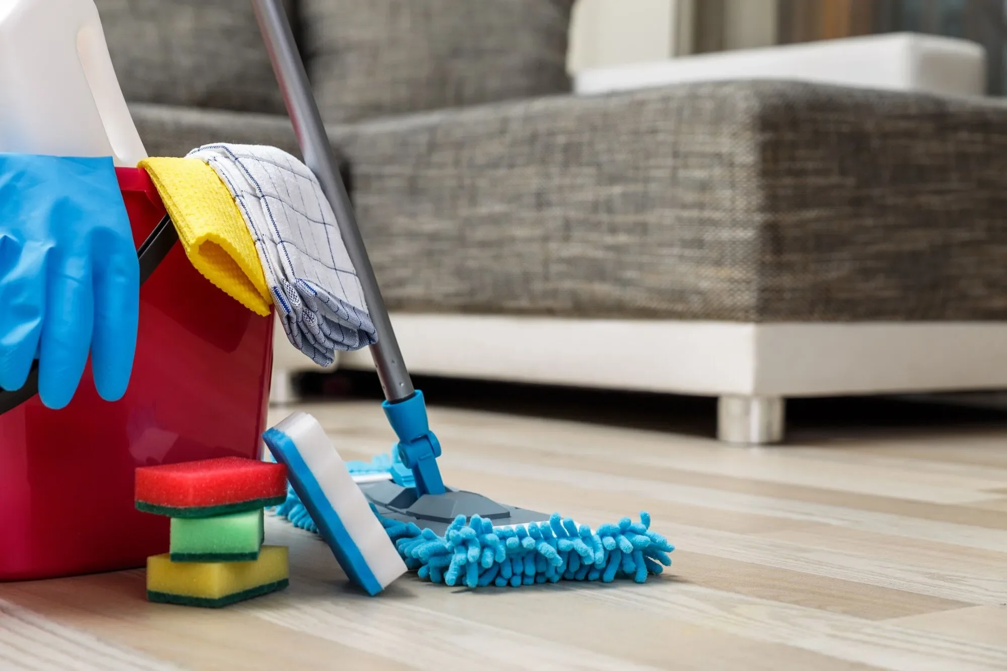 Lake Oswego Home Cleaning Tips: Keep Your Space Fresh in Every Season