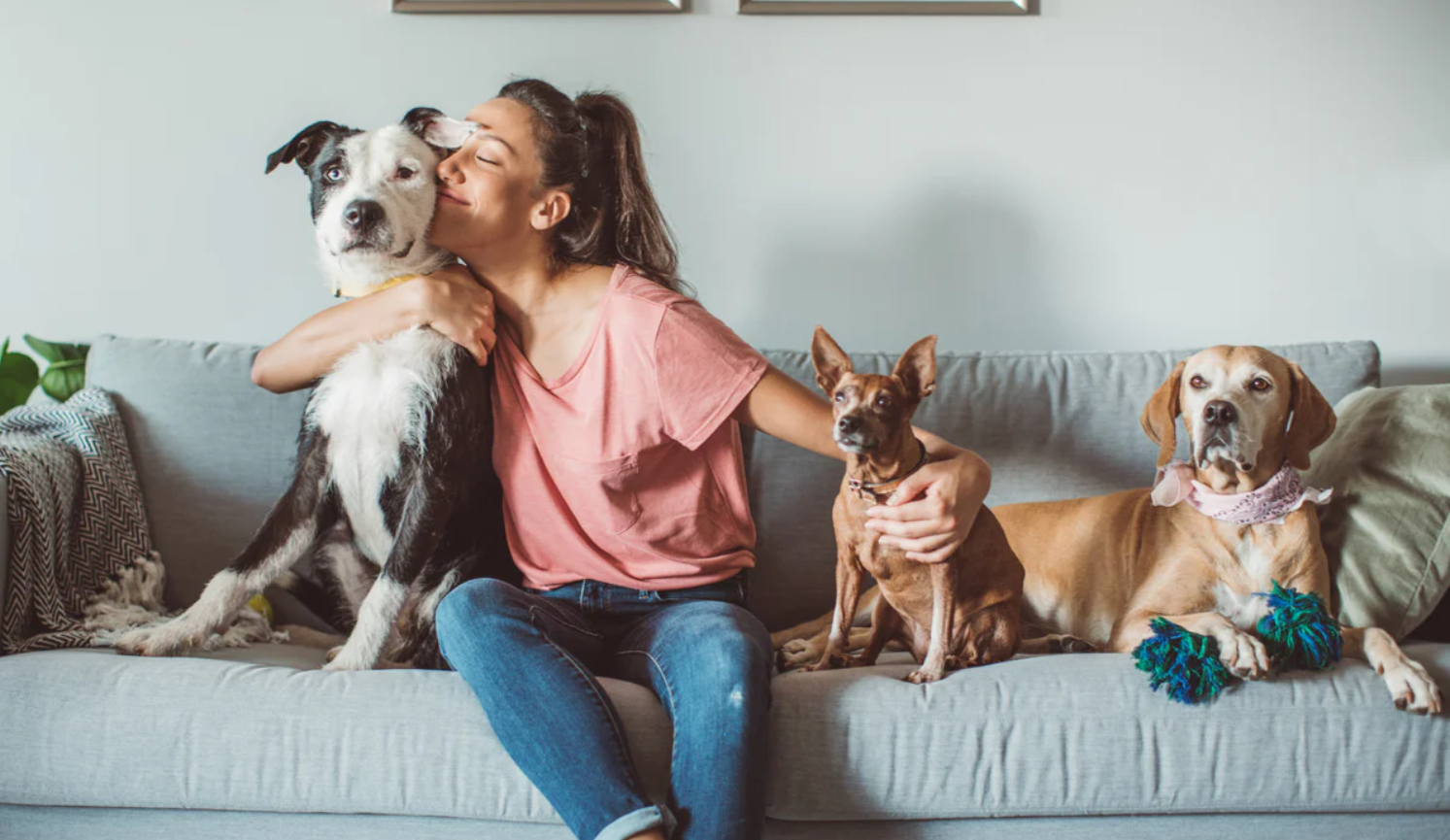 Pet-Safe Cleaning Services in Portland, OR | Non-Toxic House Cleaning for Pet Owners