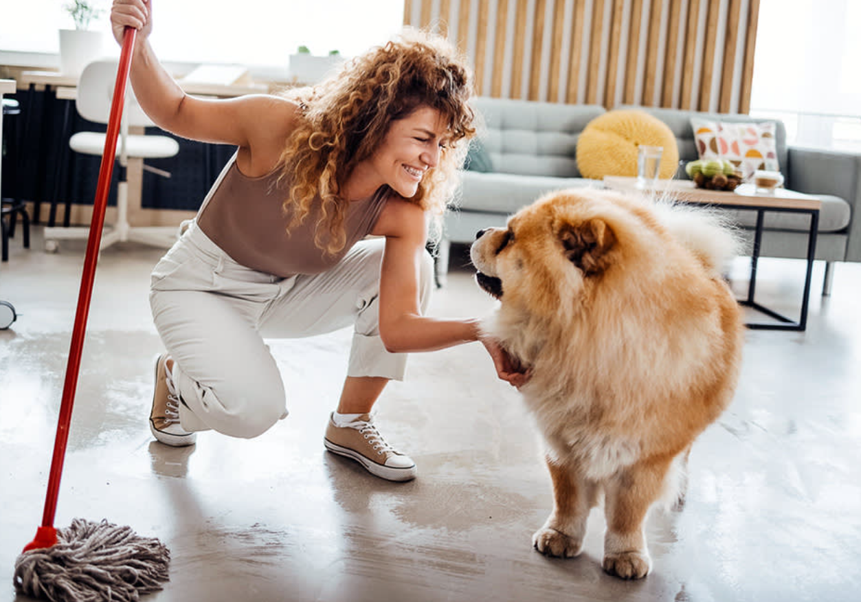 Deep Cleaning Portland Oregon | Pet-Friendly House Cleaning Tips