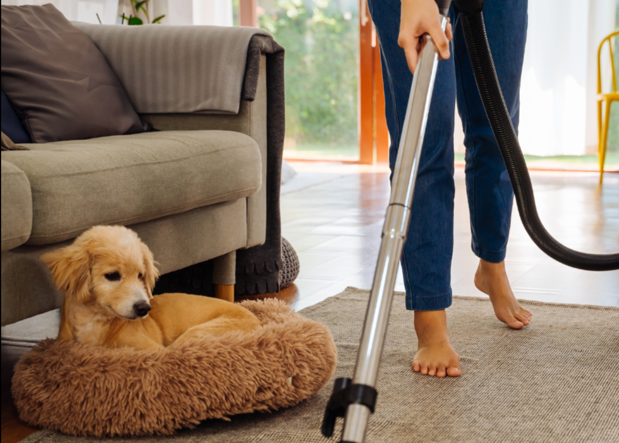 Maintenance Cleaning Portland Oregon | Cleaning Services for Busy Families
