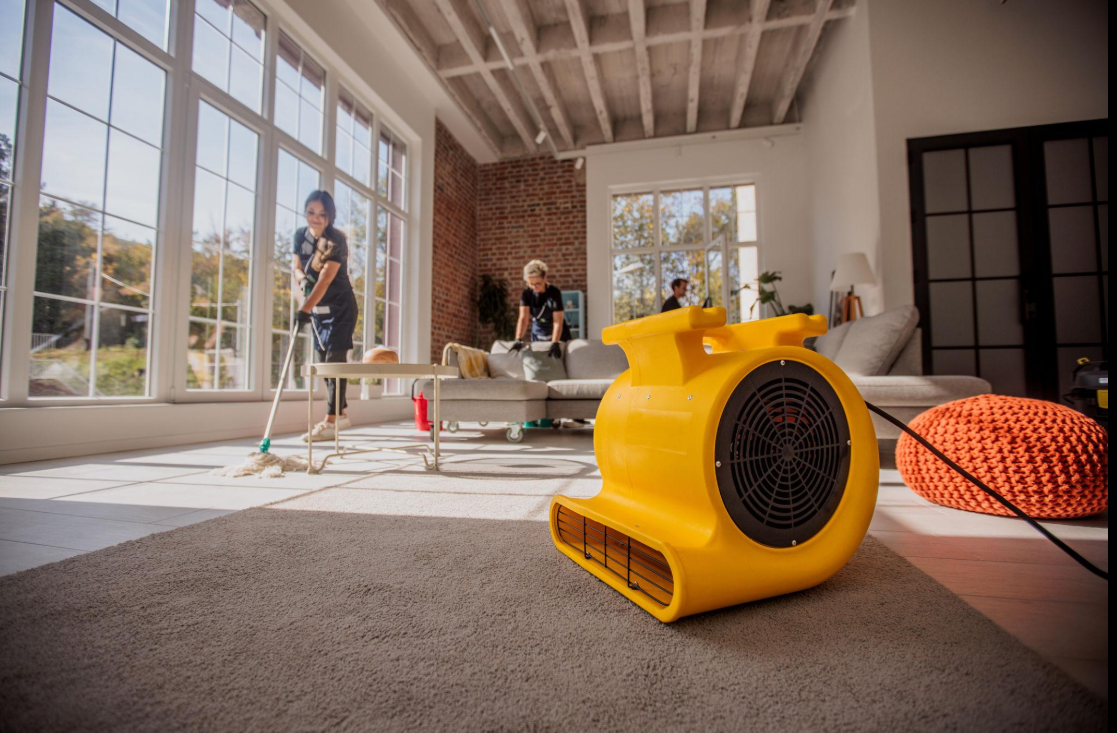 Maid Service Portland: Why More Homeowners Are Choosing Help