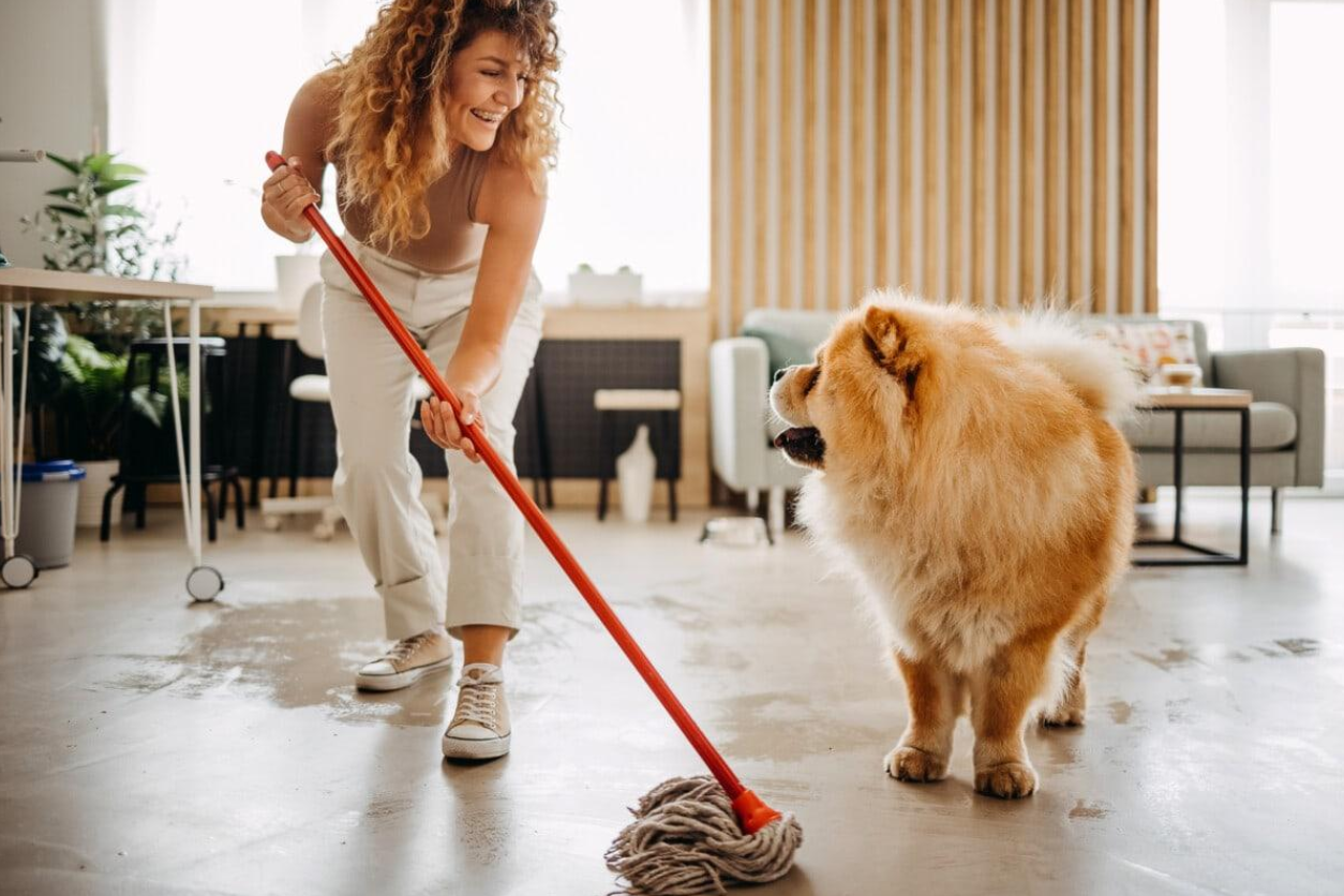 Why Pet Owners in Vancouver WA Need a Different Cleaning Routine
