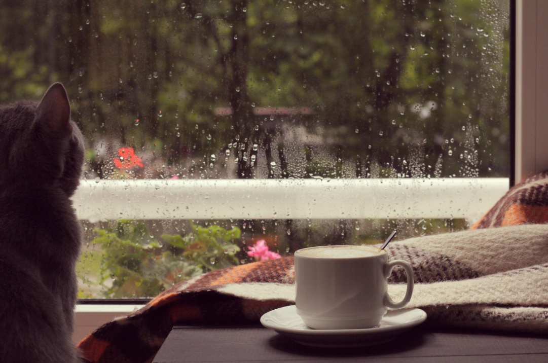 Why Oregon Weather Makes Cleaning Harder in Clackamas Homes