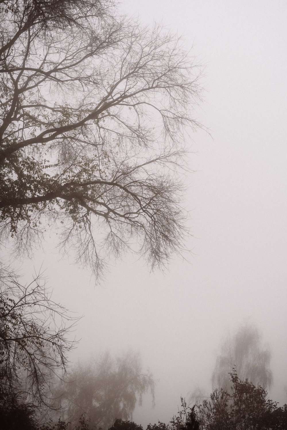 SaskiaDingeldey_fotografie-35.jpg