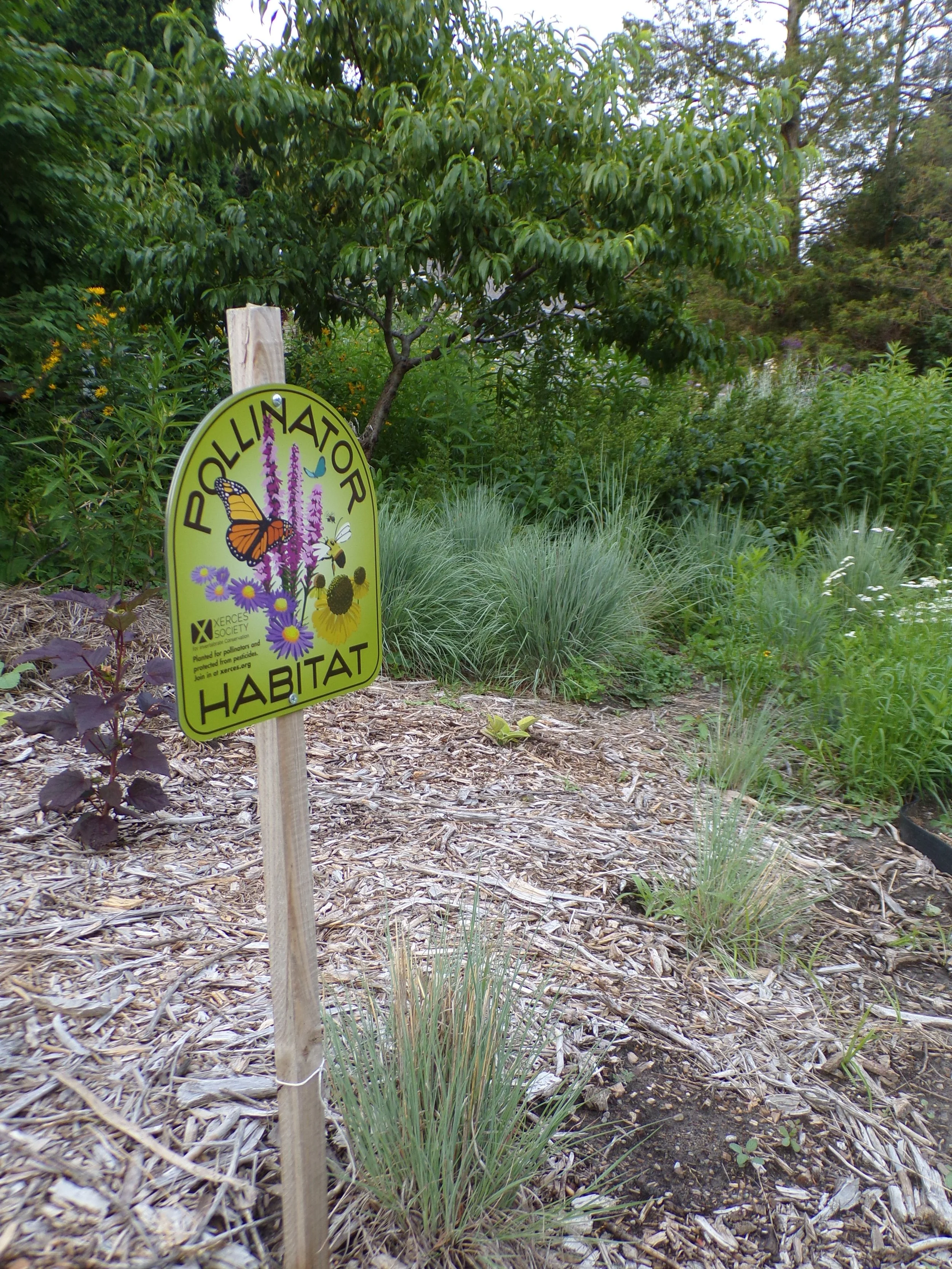 Pollinator-sign.JPG