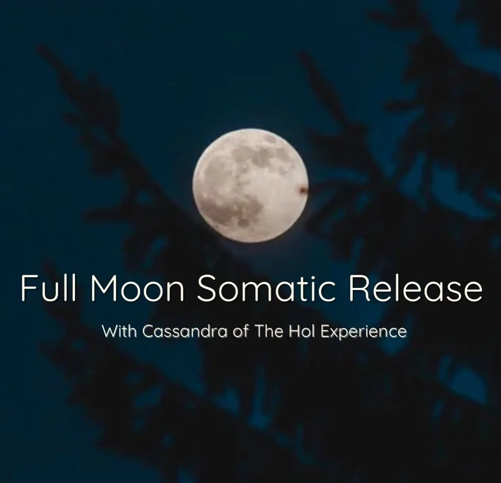 📺 New YouTube Video Out 📺

🌕 During the last in-person Yoga &amp; Somatics Event at North Main Yoga, I had a few requests to host these workshops online so that you can enjoy the practice in the comfort of your homes&hellip;

🌕 Your wish has been