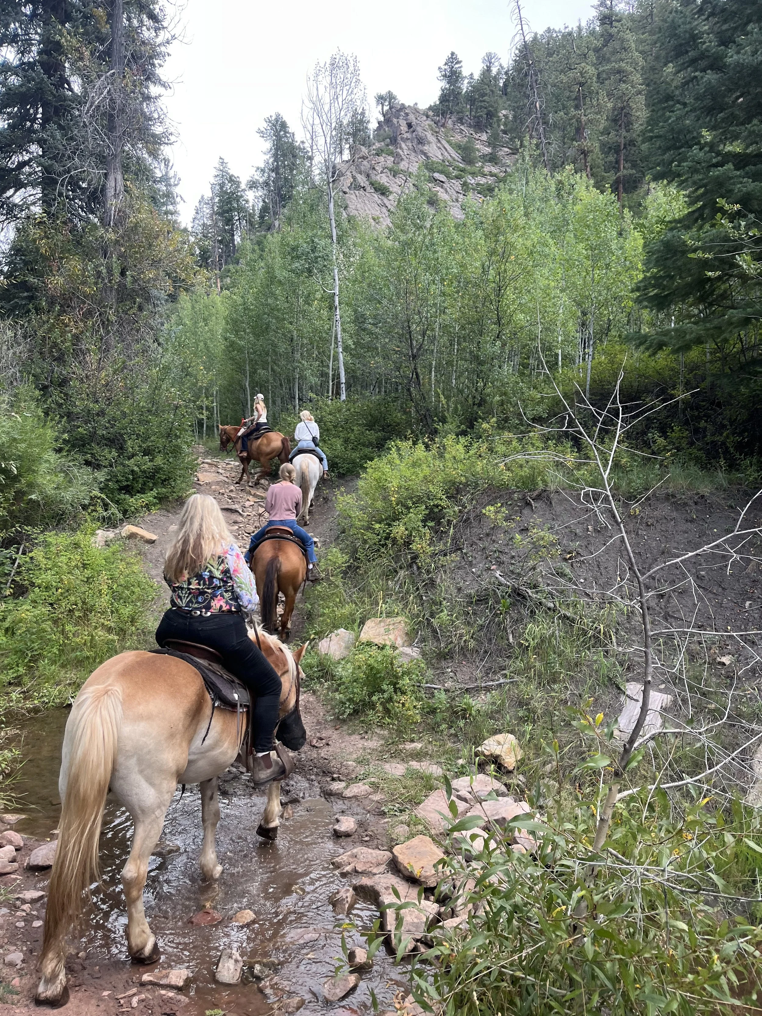 horseback riding at womens wellness retreat