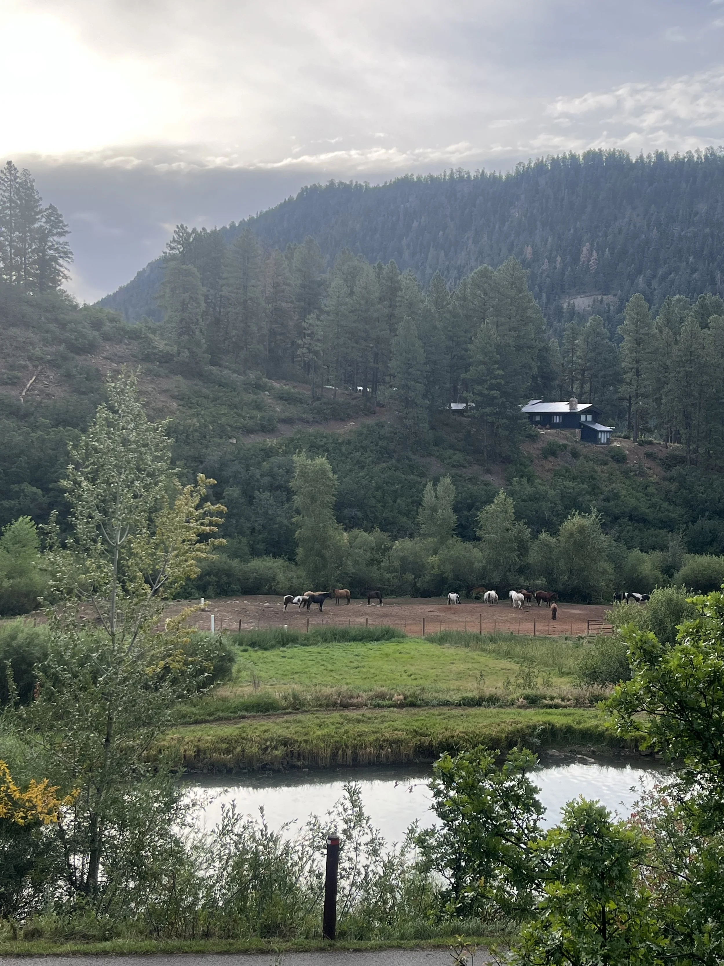 view in durango colorado womens wellness retreat