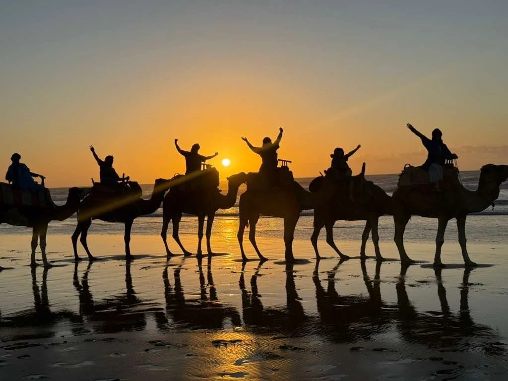 Sunset camel ride in Morocco 