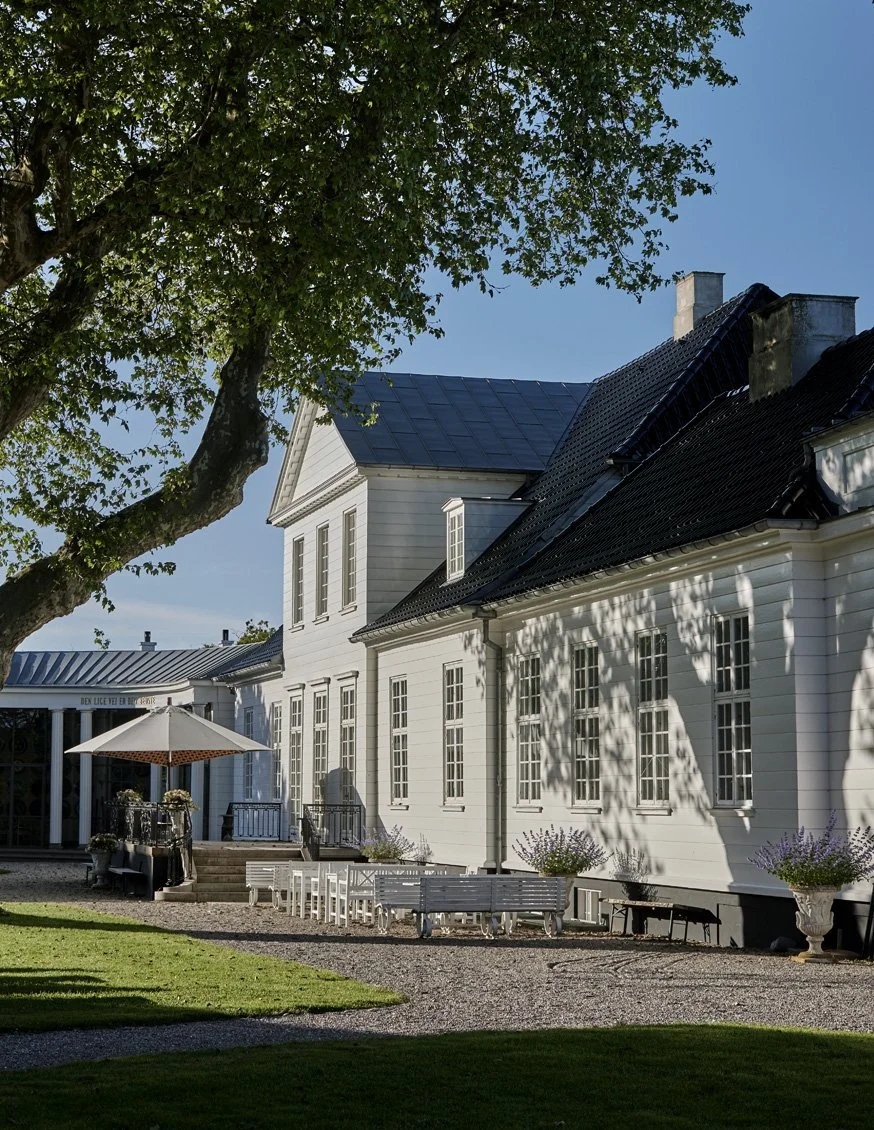 Hvidt hus med sort tag udendørs område med parasol, bænke og blomster i store urner under en stor træ.