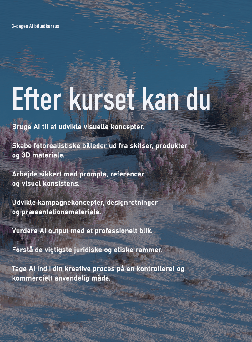 efter kurset kan du.png