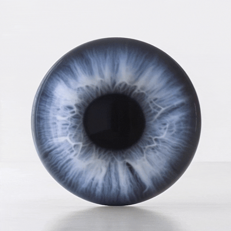 ezgif.com-optimize (2).gif