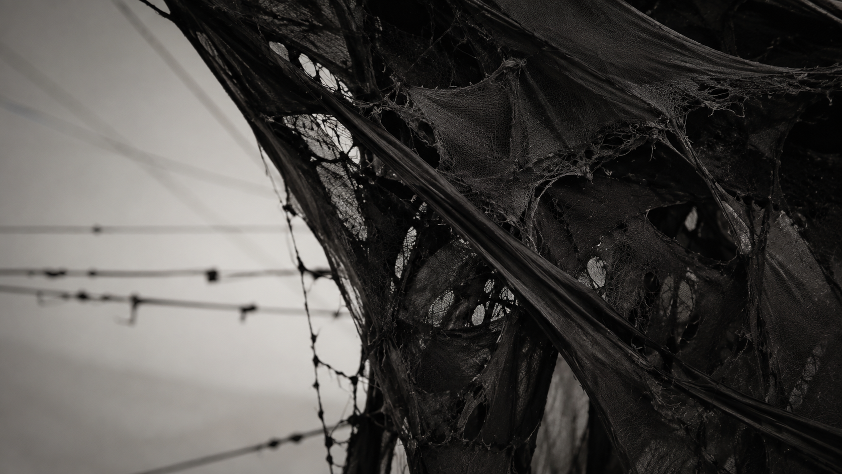 GORA DETAIL 2.png