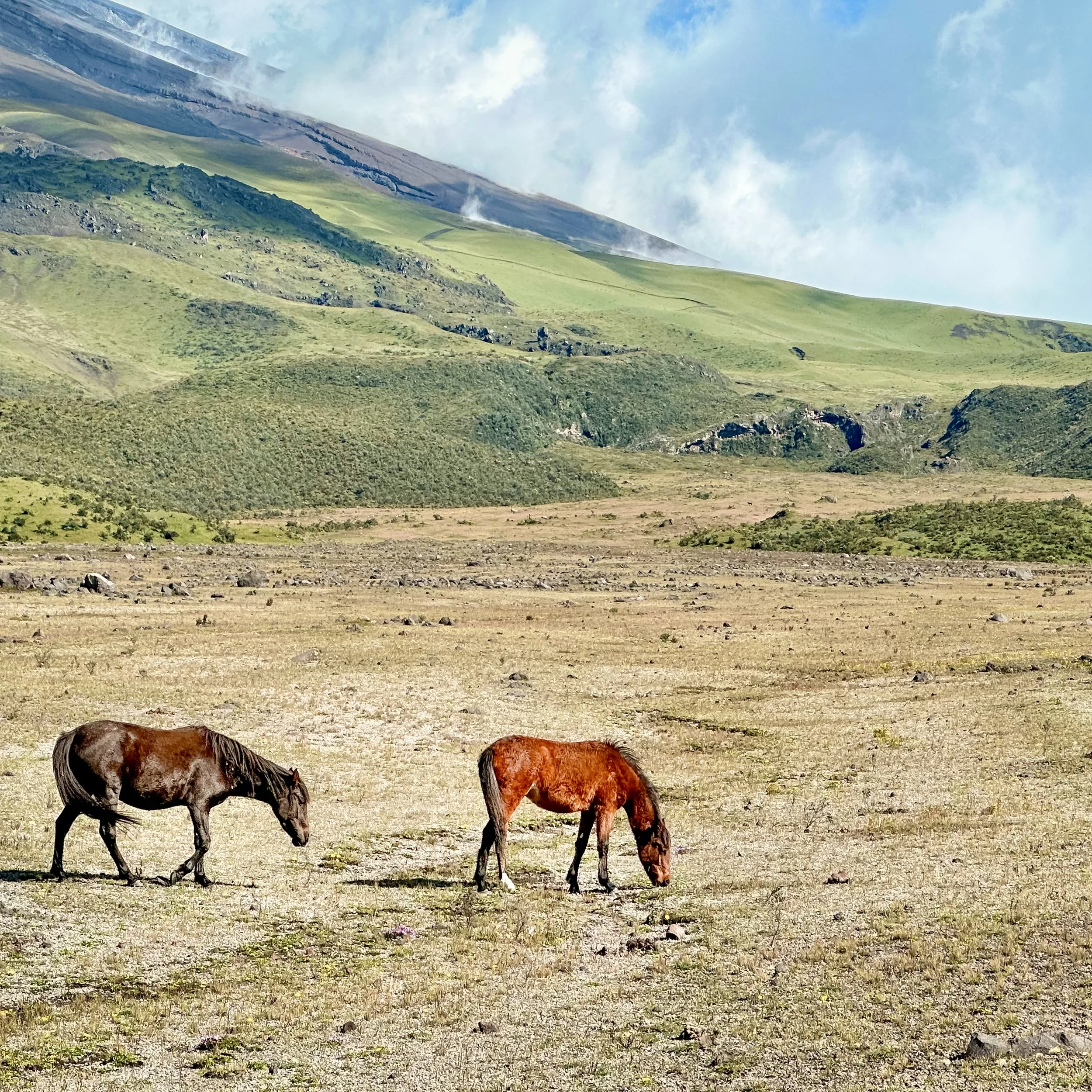 Cotopaxi, Ecuador