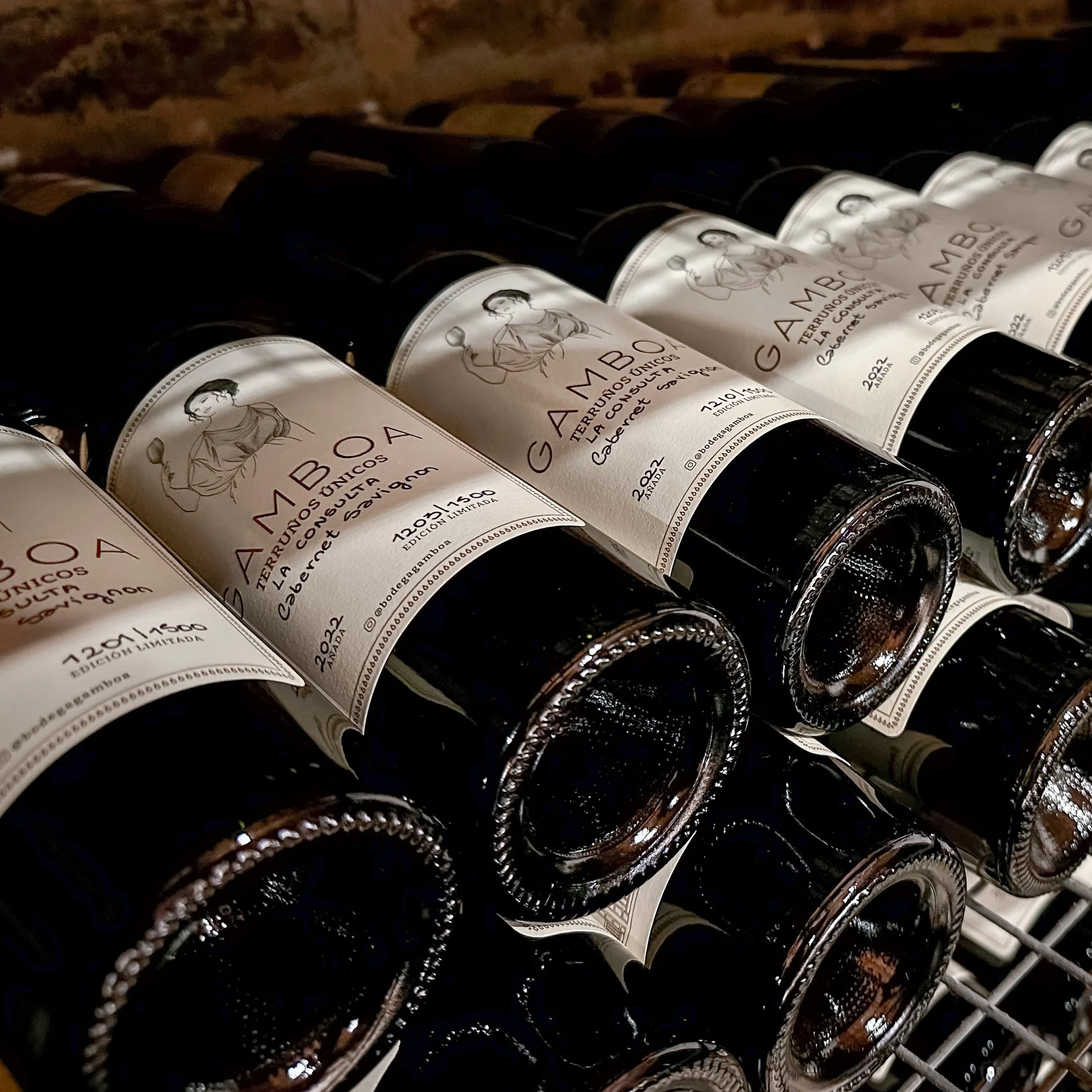 Gamboa Vineyard, Argentina