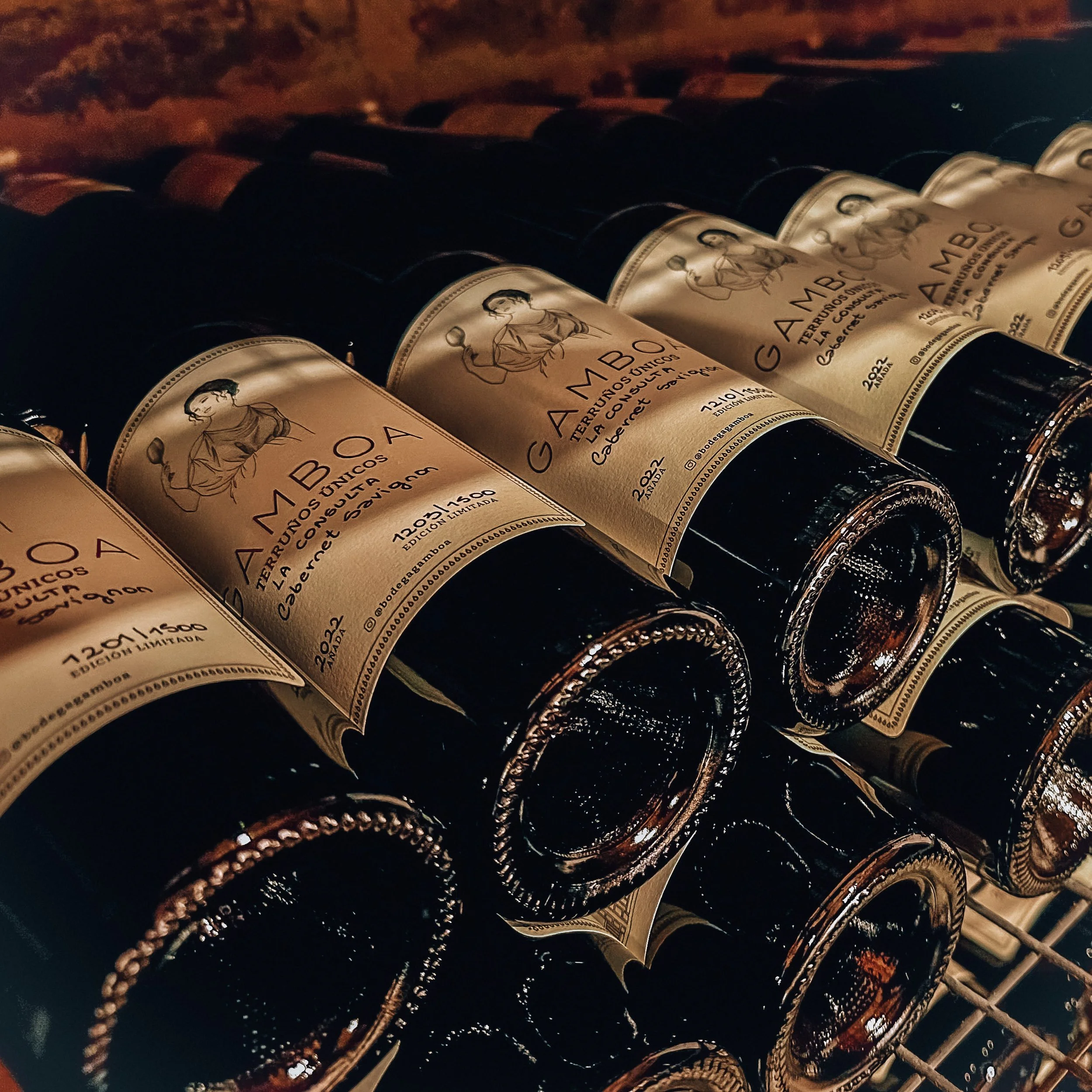 Gamboa Vineyard, Argentina