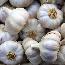 PREORDER-Heirloom Seed Grade 1Lb