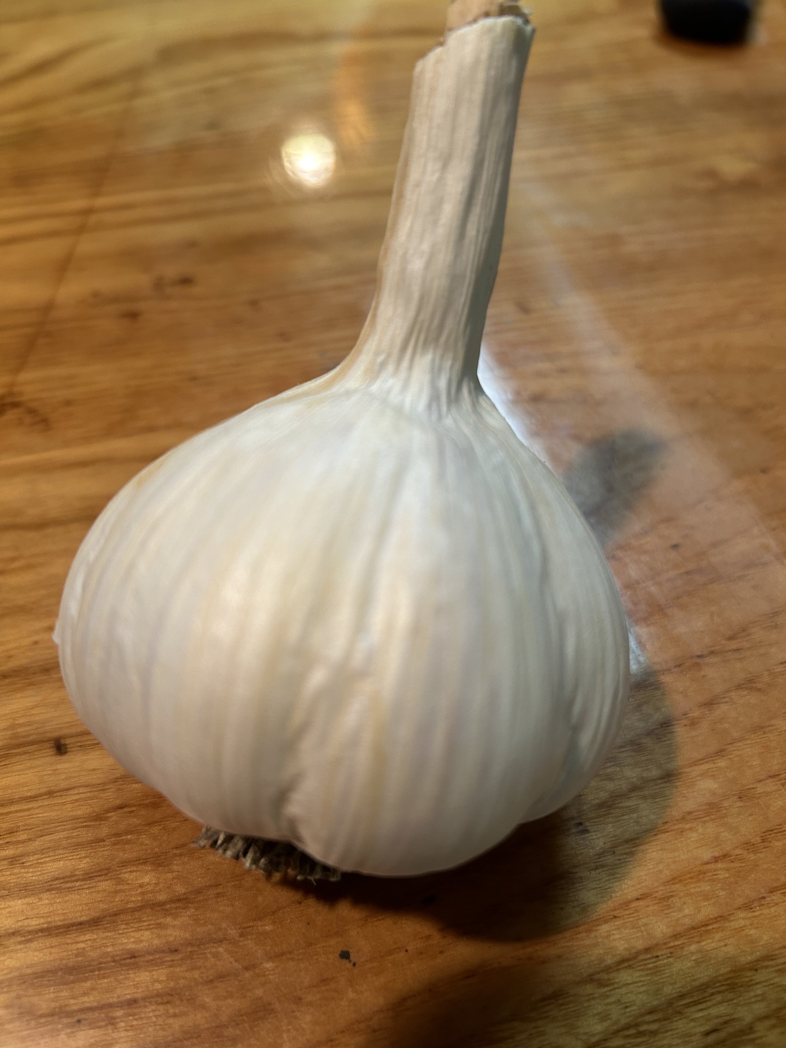 IMG_0713.jpeg
