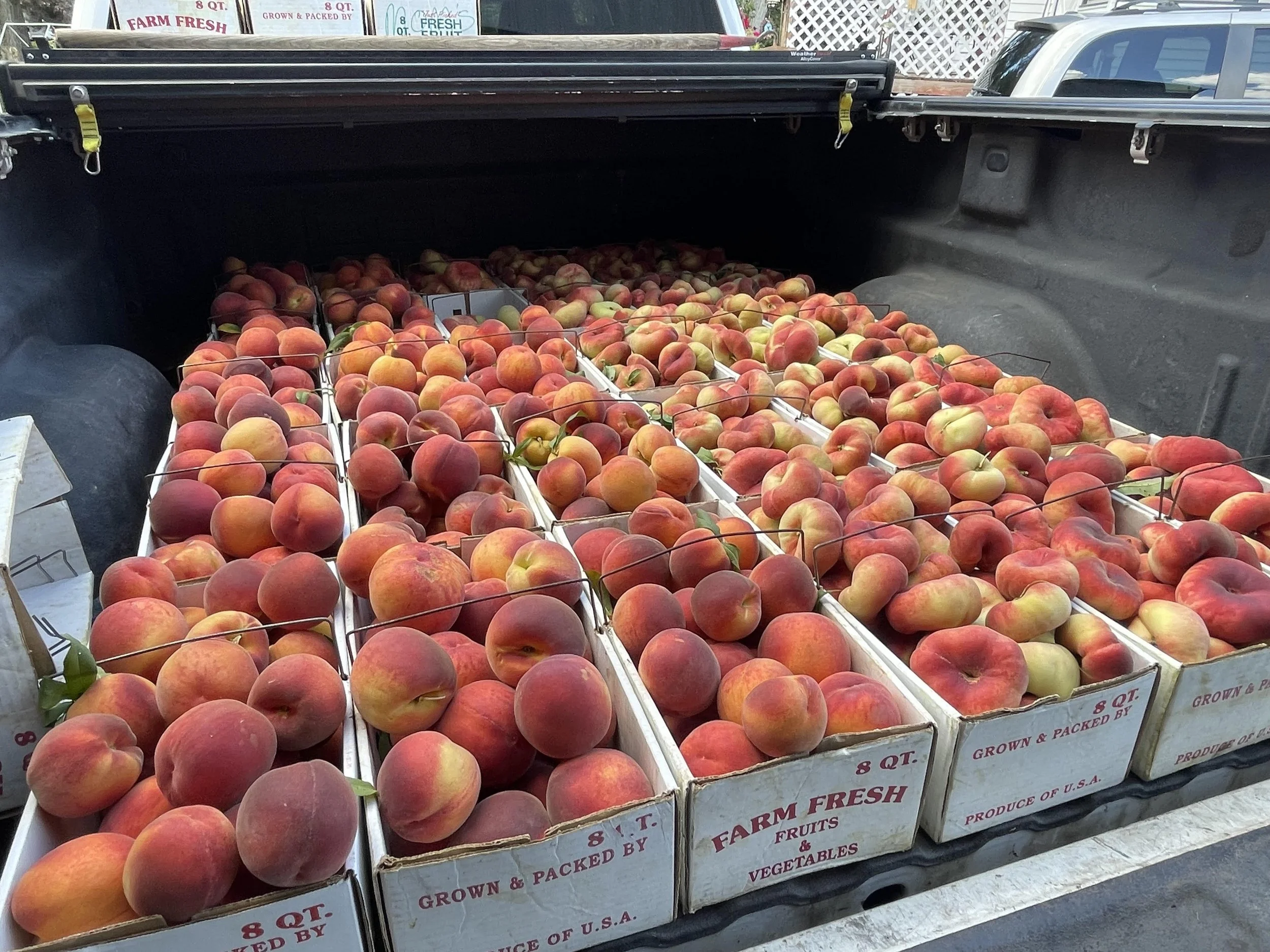 Peaches- 1 Bag