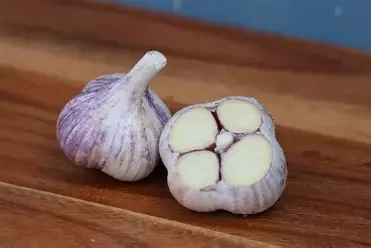 PREORDER-Purple Stripe Seed Grade 1Lb