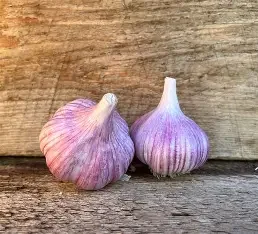 PREORDER-Chesnok Red Culinary Grade 1lb