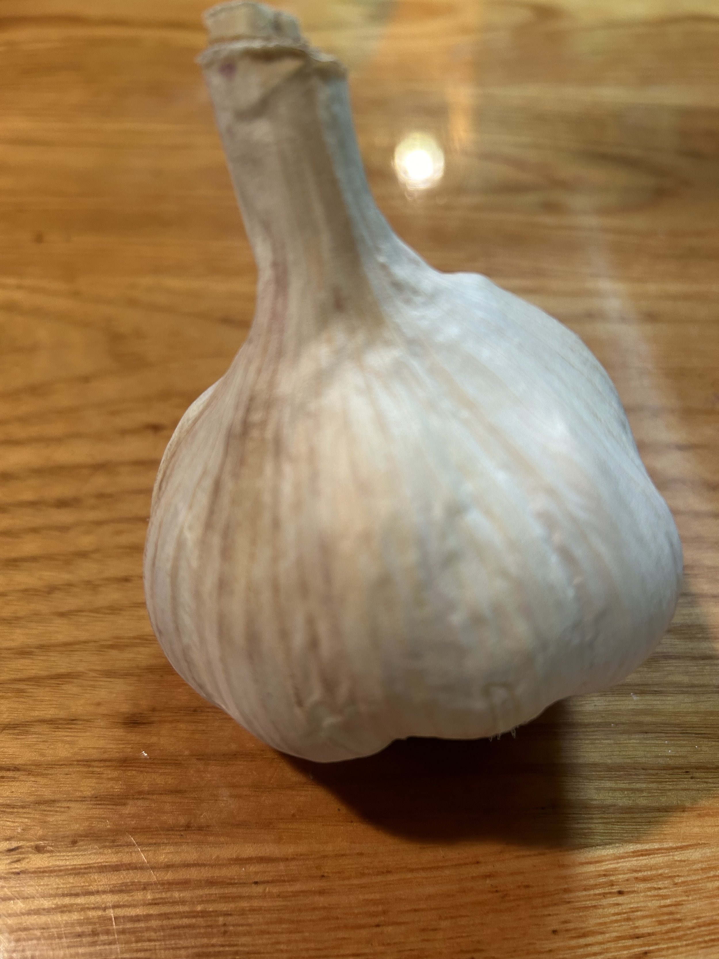 IMG_0704.jpeg