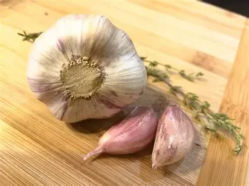 Romanian Red Seed Grade 1Lb