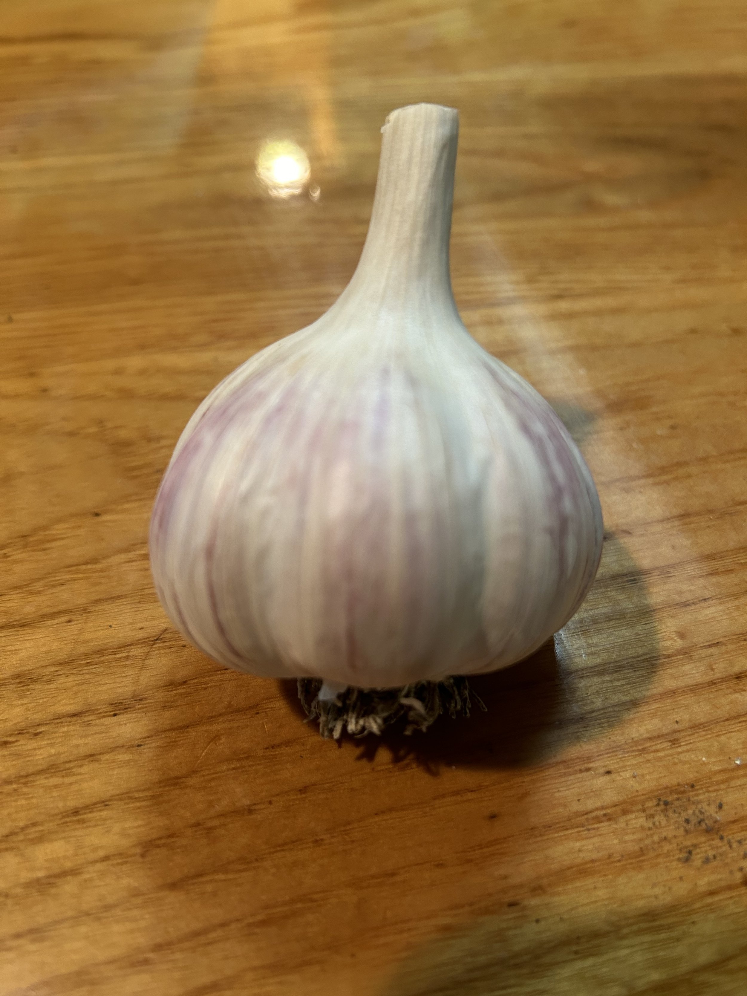 IMG_0706.jpeg