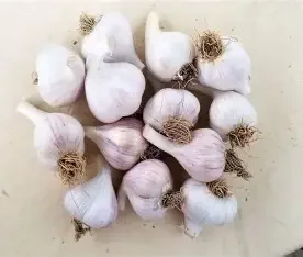 Polish Culinary Grade 1Lb