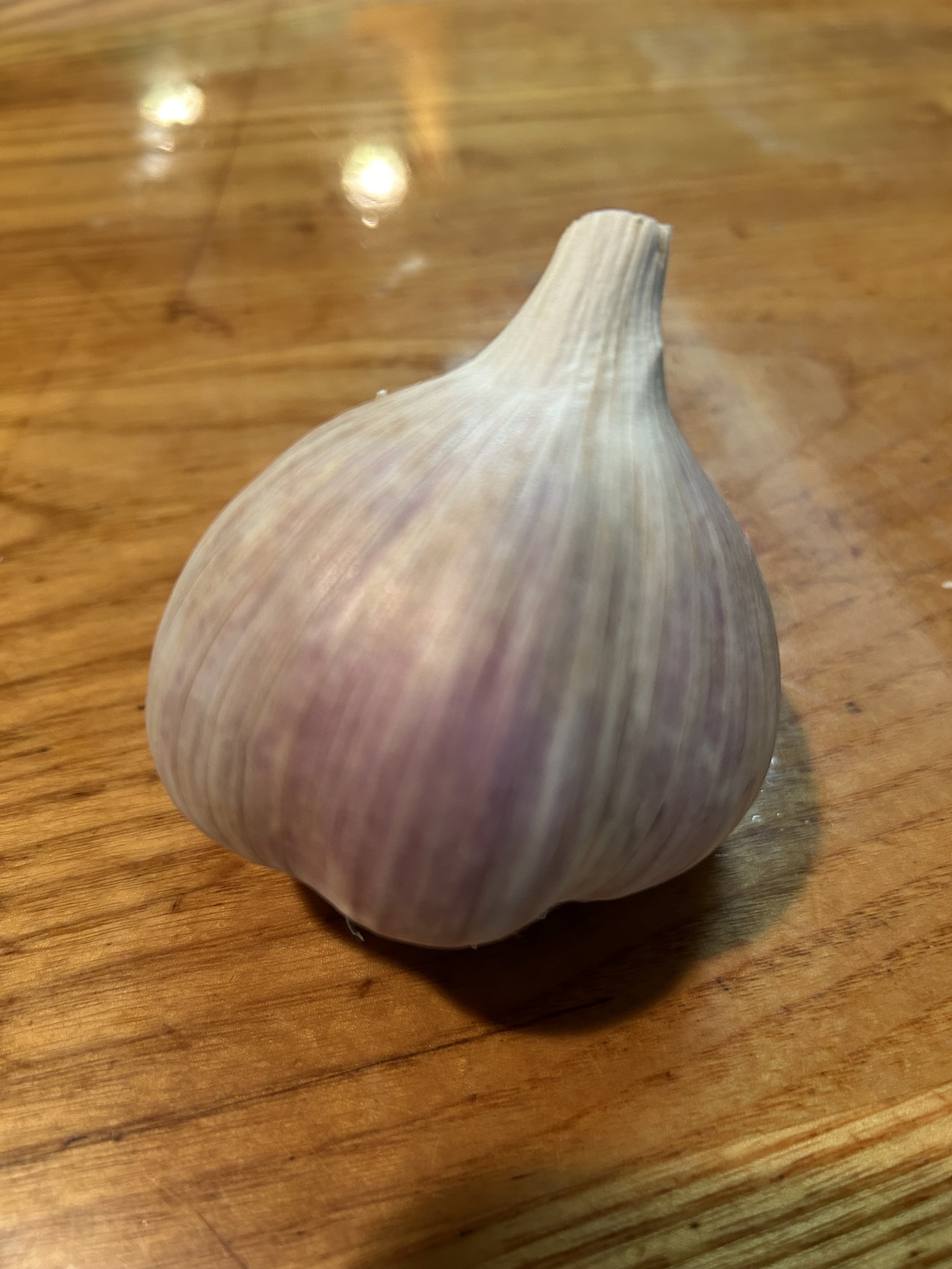 IMG_0710.jpeg
