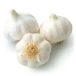 French White Seed Grade 1Lb