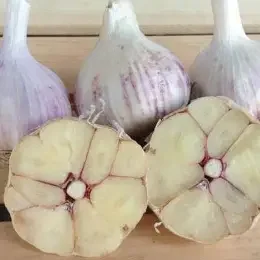 PREORDER-Spanish Roja Culinary Grade  1 lb