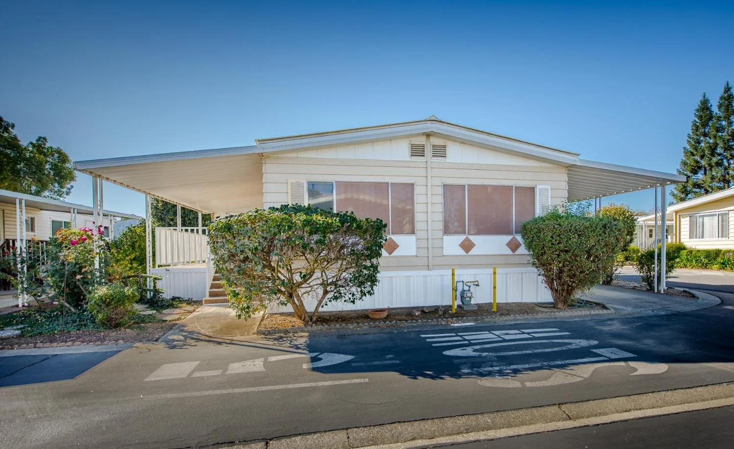 115 Buddy Drive 