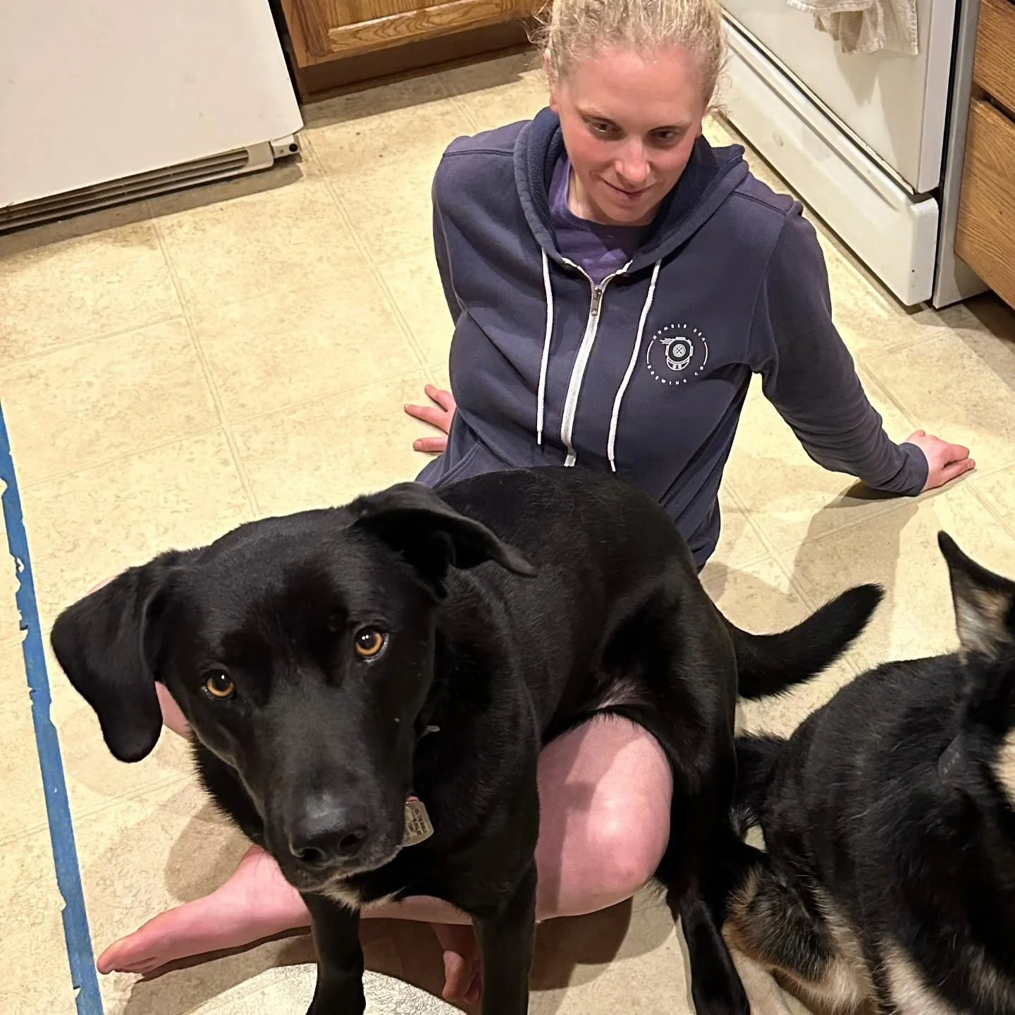 Happy 6th birthday to our intern, Mowgli! You may think you're a small lap dog, but you have a big impact on the Stern Mama team ❤️

(Don't worry, you'll have your own sticker soon!)